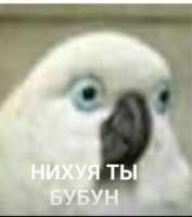 320x361