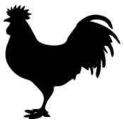 175x175