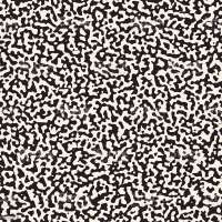 1024x1024