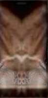 1491x3000