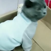 360x360