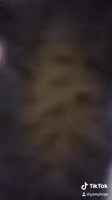 270x480