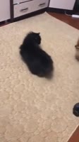 360x640