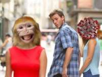 960x729