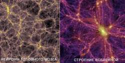 600x307