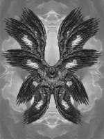 1000x1333