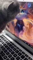 640x1138