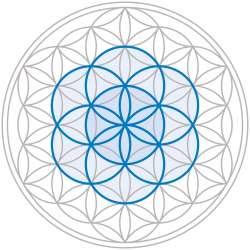 900x900