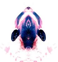 1566x1667