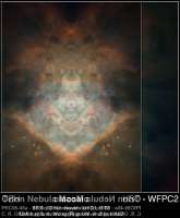 600x725