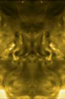 800x1212