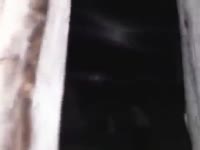 480x360