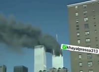 592x432