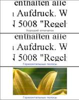 441x557