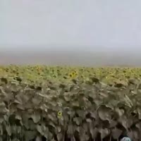 848x848