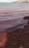 360x600