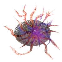 2181x2160