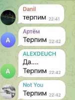 379x501