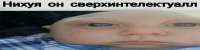 1590x400