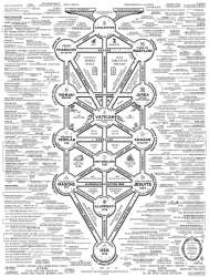 1632x2151