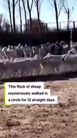 360x640
