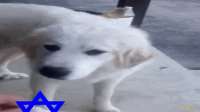 600x338