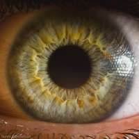 900x900