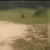 500x500