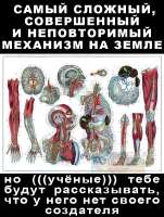 720x949