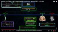 1366x768