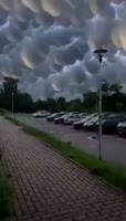 320x560