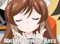 259x194