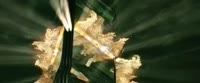 640x266