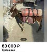 720x788