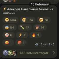 482x482