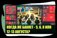 981x648