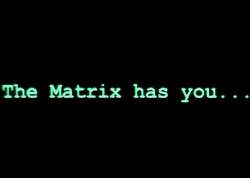 619x441
