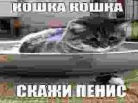320x240